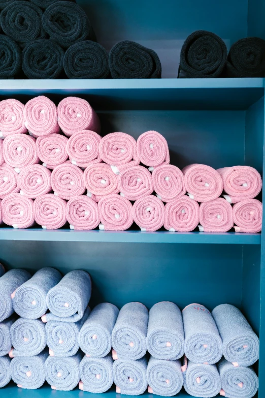 a shelf filled with lots of rolled up towels, by Rachel Reckitt, soft blue and pink tints, sport clothing, matte material, goop