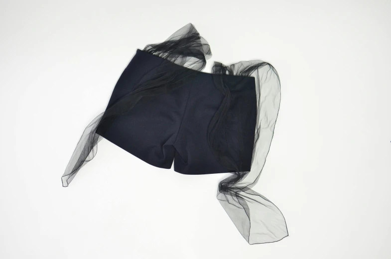 a close up of a piece of clothing on a white surface, by Emma Andijewska, wearing black shorts, veil, black swimsuit, ribbon
