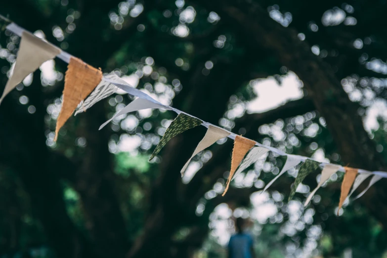 a group of bunting flags hanging from a tree, a photo, unsplash, arts and crafts movement, silver，ivory, cardboard, long, worn