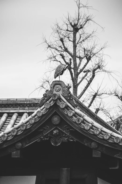 a black and white photo of a roof, inspired by Itō Jakuchū, unsplash contest winner, ukiyo-e, perched in a tree, guan yu, china town, aged and weathered