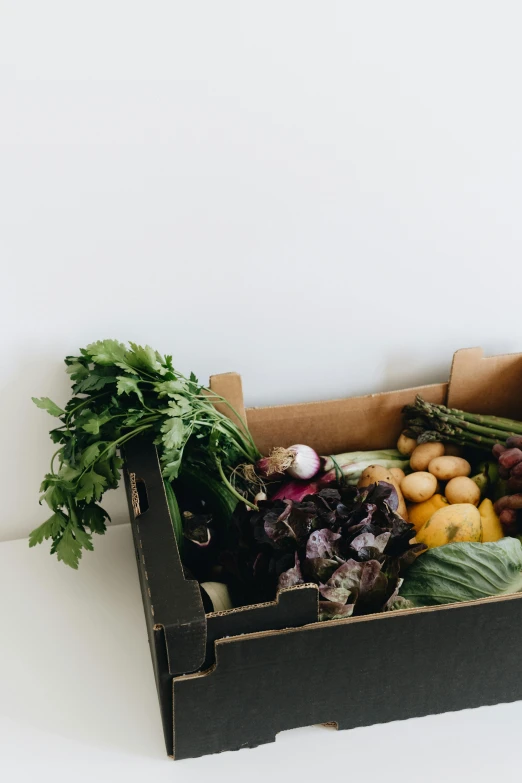 a box filled with lots of different types of vegetables, by Eden Box, unsplash, black on white background, a cozy, back facing, made of glazed