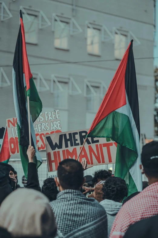 a group of people holding up signs and flags, by Micha Klein, trending on unsplash, hurufiyya, israel, red green black teal, “berries, struggling