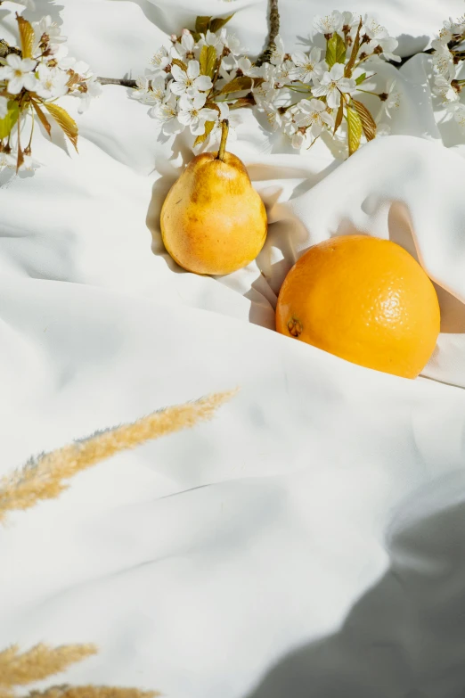 a couple of oranges sitting on top of a white cloth, lush paradise, award - winning crisp details, carefully crafted, organics