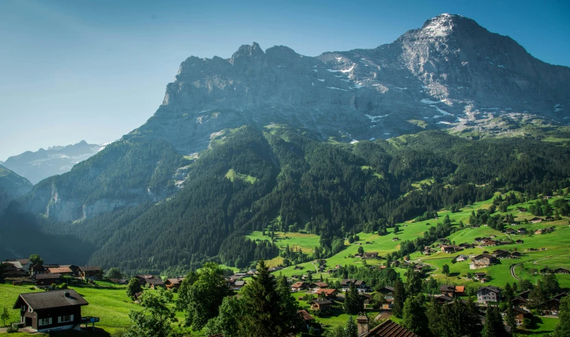 a green valley with houses and mountains in the background, by Daniel Seghers, pexels contest winner, lauterbrunnen valley, avatar image, lush green, conde nast traveler photo