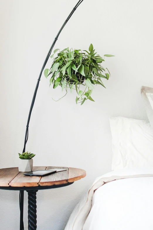 a bed room with a neatly made bed and a potted plant, inspired by Constantin Hansen, kinetic art, planted charge, antigravity, on desk, full device