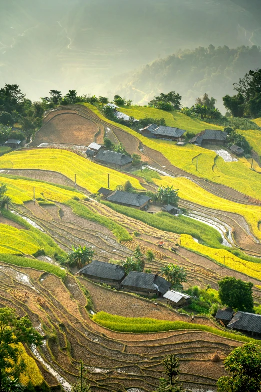 a group of houses sitting on top of a lush green hillside, by Dan Content, in style of lam manh, fields of flowers, low sun, epic land formations