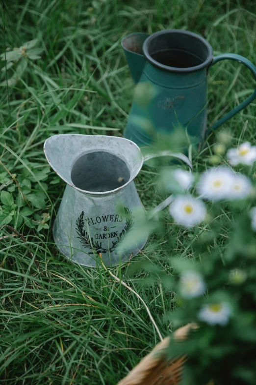 a watering can sitting on top of a lush green field, inspired by Elsa Bleda, unsplash, land art, in a cottagecore flower garden, metal plate photograph, ilustration, low quality photo