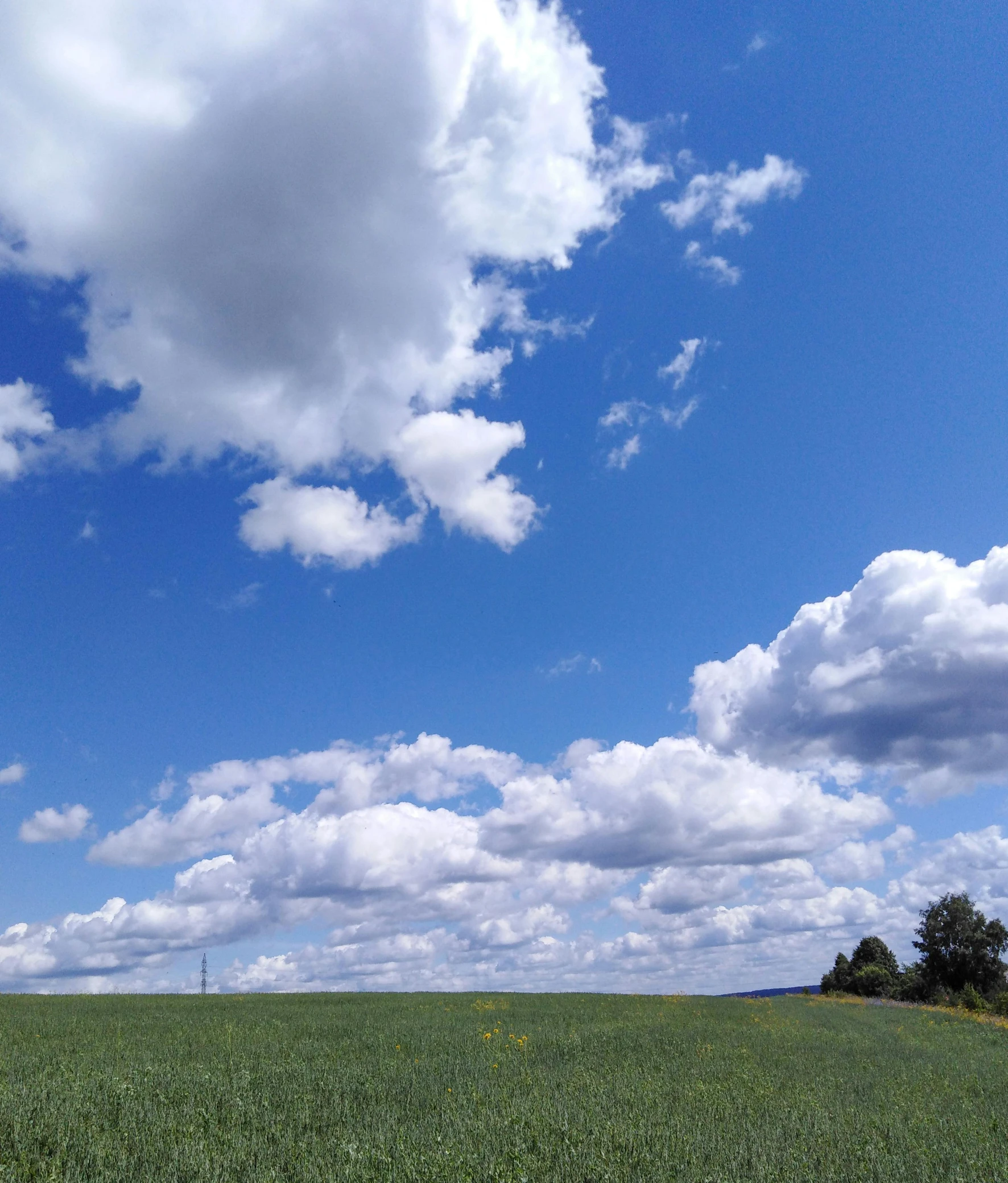 a field of green grass under a blue sky, by Karl Pümpin, flickr, towering cumulonimbus clouds, from afar, today\'s featured photograph 4k, cloudless blue sky