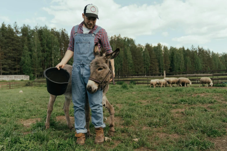 a man standing next to a donkey in a field, by Adriaen Hanneman, pexels contest winner, arbeitsrat für kunst, wearing cargo pants, avatar image, wearing farm clothes, 15081959 21121991 01012000 4k