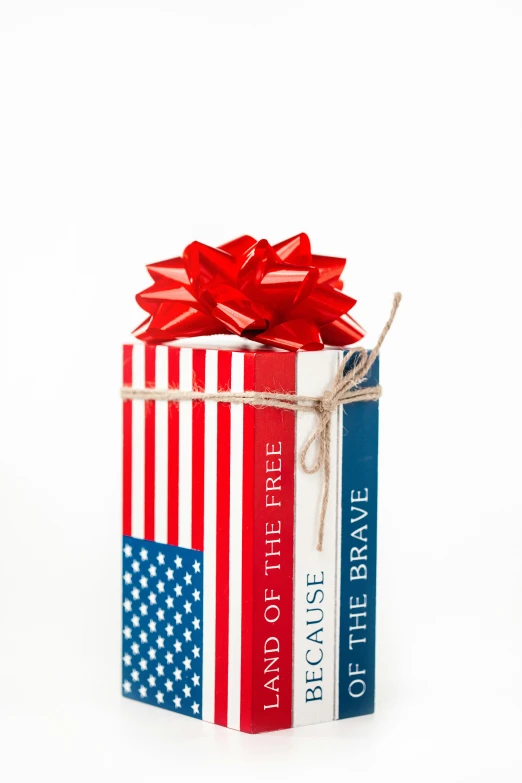 a red, white and blue gift box with a bow, by Rose Maynard Barton, brave, the american dream, (books), full product shot