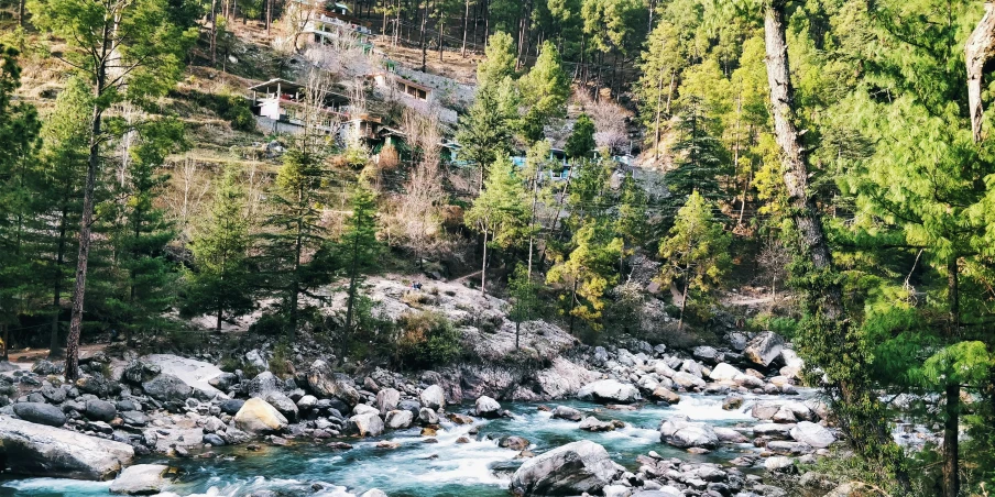 a river running through a lush green forest, a picture, hurufiyya, seasons!! : 🌸 ☀ 🍂 ❄, view of villages, pine trees, deep colours. ”