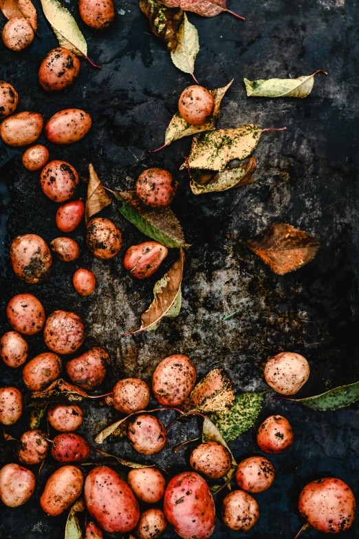 a pile of potatoes sitting on top of a table, by Matt Cavotta, unsplash contest winner, process art, wet leaves, square, meats on the ground, 15081959 21121991 01012000 4k