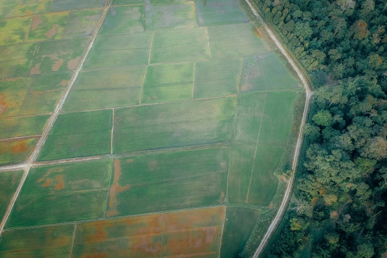 an aerial view of a lush green field, an album cover, by Attila Meszlenyi, pexels, square lines, bioremediation, brown, looking left