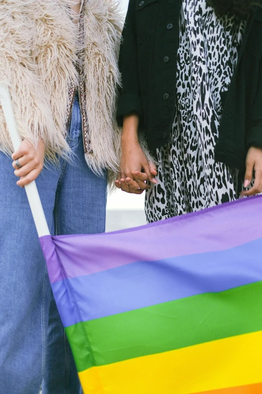 two women standing next to each other holding a rainbow flag, a photo, trending on pexels, purple and green, square, grey, flag in hands