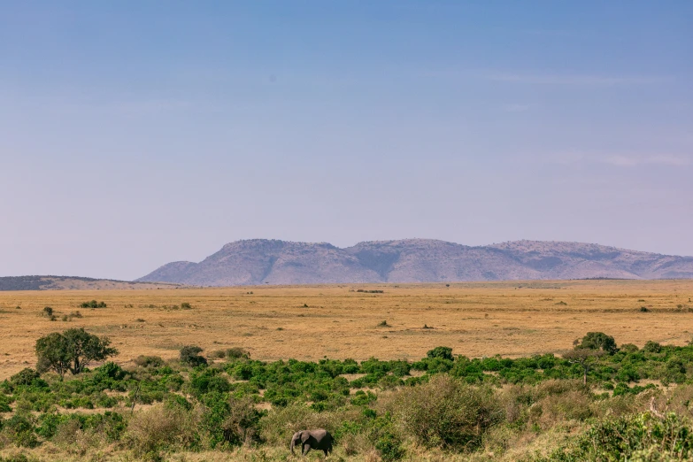 a herd of elephants walking across a lush green field, hurufiyya, tall mountains in the horizon, unmistakably kenyan, high quality image”