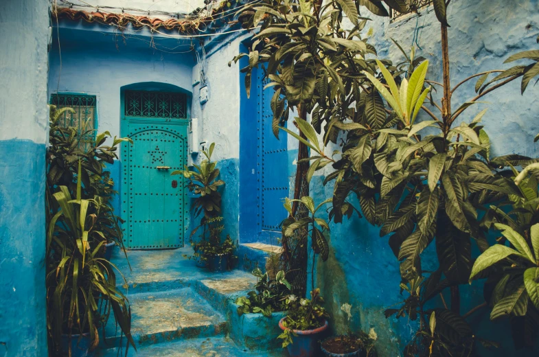 a blue building with potted plants in front of it, by Elsa Bleda, pexels contest winner, moroccan, doors to various living quarters, colourful jungle, “ painting