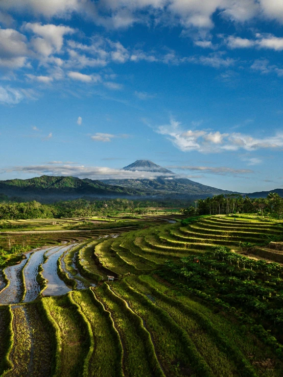 a rice field with a mountain in the background, by Julia Pishtar, unsplash contest winner, sumatraism, square, slide show, bali, multiple stories