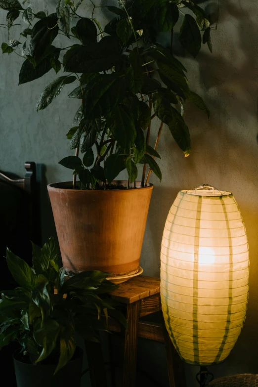 a lamp sitting on top of a wooden table next to a potted plant, light and space, with paper lanterns, warm ambient lighting, soft green lighting, next to a plant