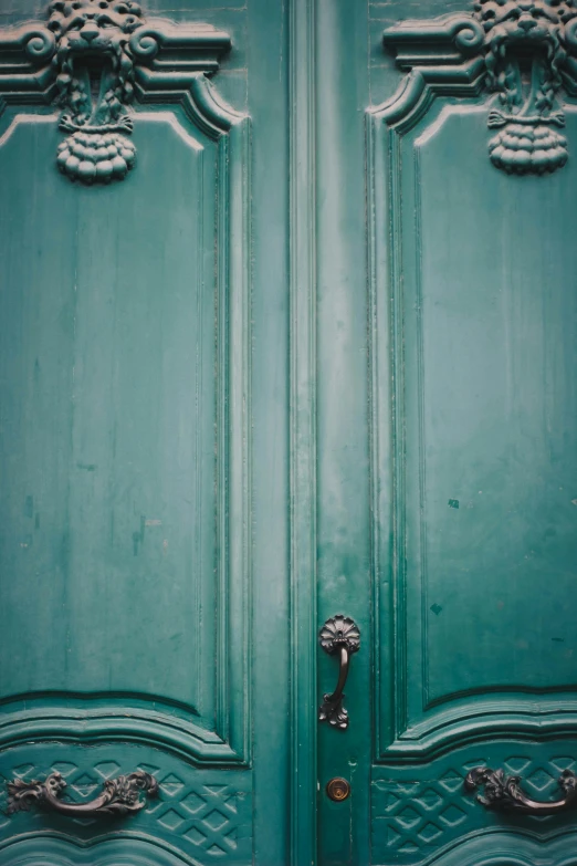 a pair of green doors sitting next to each other, an album cover, unsplash, baroque, cupboards, teal, exquisite handle, french