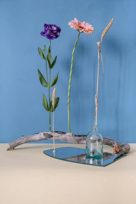 a couple of vases sitting on top of a table, inspired by Giovanni Giacometti, romanticism, reflecting flower, driftwood, with a blue background, mirrored