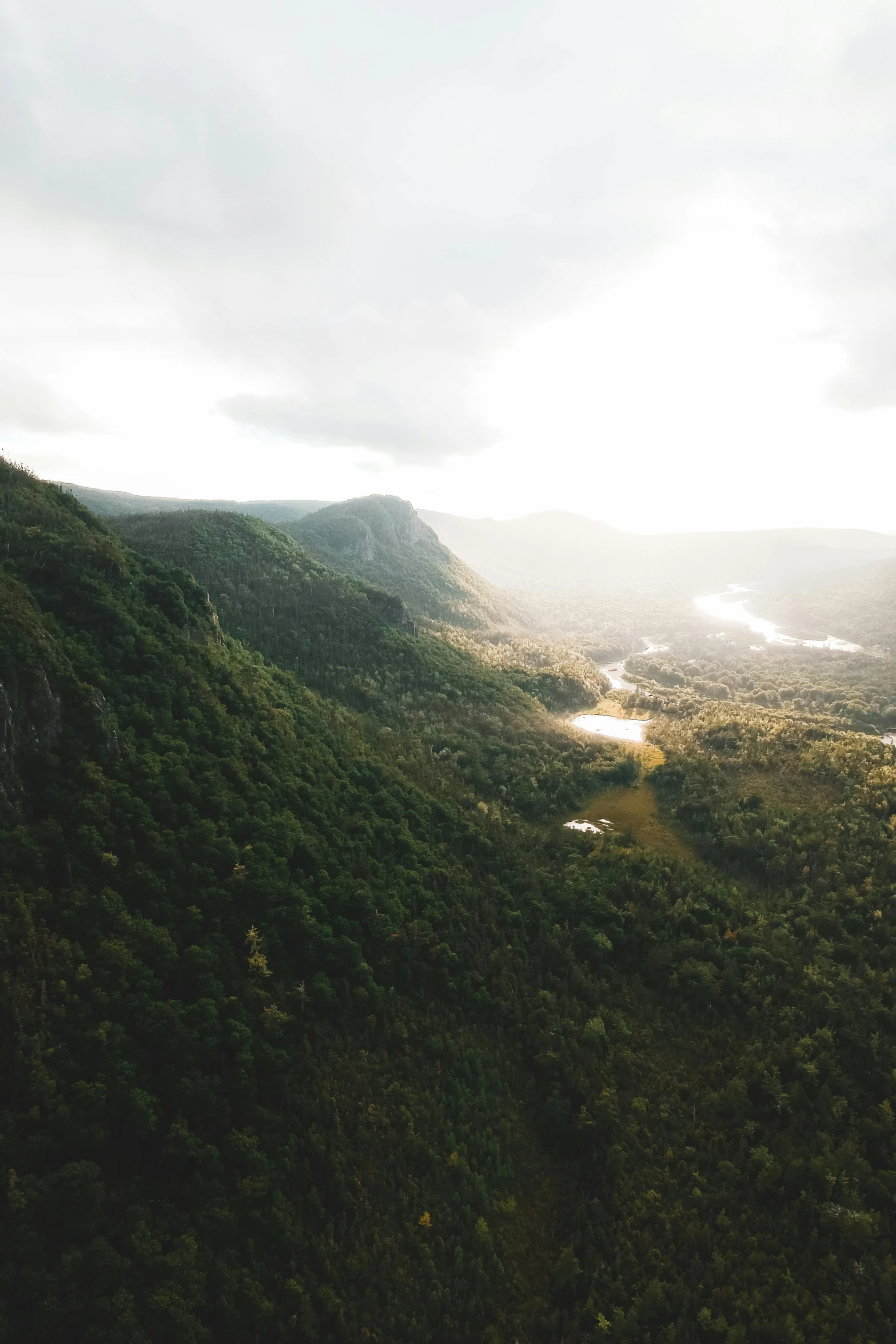 a view of a valley from the top of a mountain, flying above a tropical forest, golden hour light, near a lake, instagram post