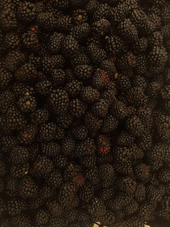 a pile of blackberries sitting on top of a table, by Carey Morris, davide sorrenti, 2 5 6 x 2 5 6, bottom body close up, /r/earthporn