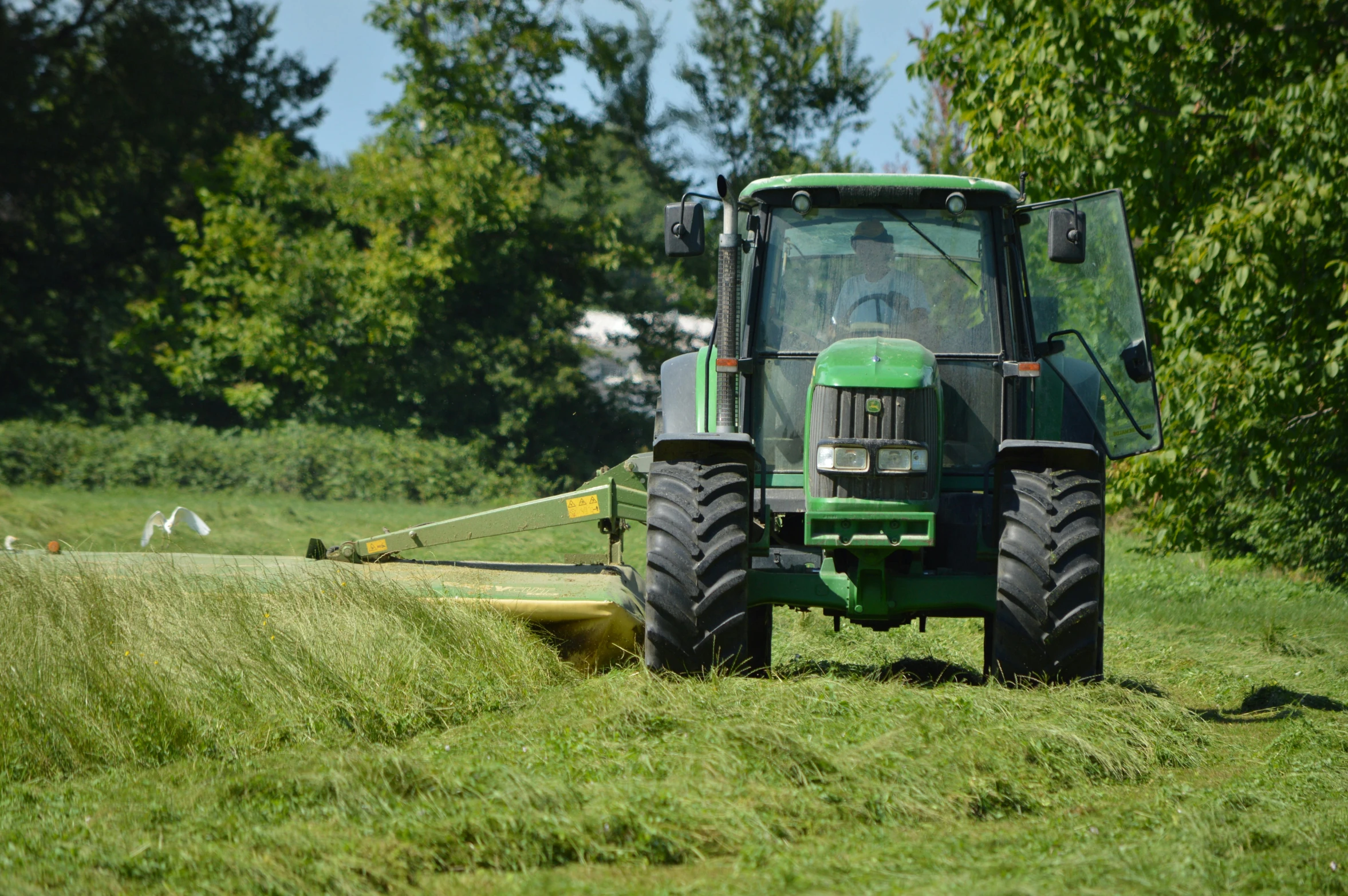 a tractor that is sitting in the grass, by Jim Nelson, pixabay, mowing of the hay, heavy line work, a green, 15081959 21121991 01012000 4k