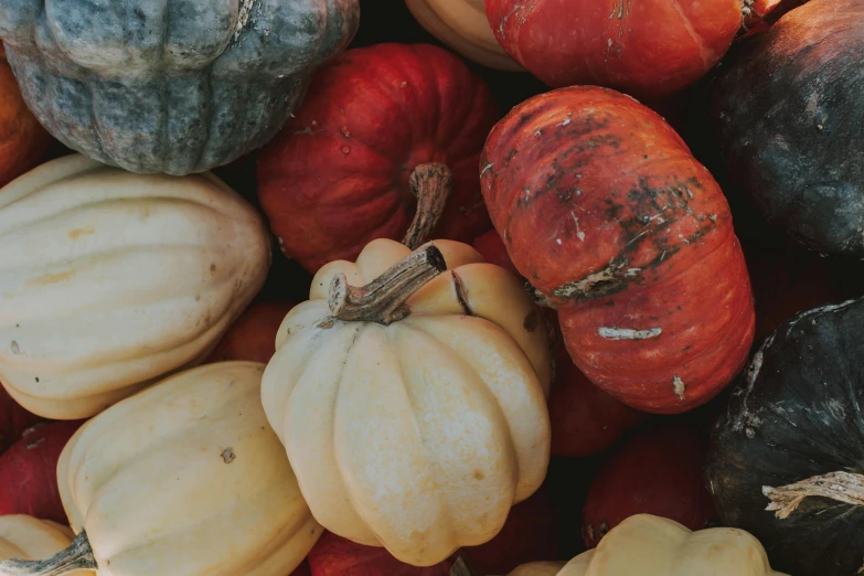 a pile of pumpkins sitting on top of each other, unsplash, renaissance, background image, multicolored, close up image