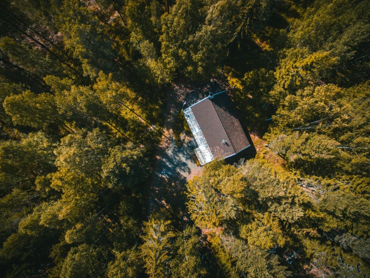 a house in the middle of a forest, pexels contest winner, looking down on the camera, shed roof, high camera angle, carson ellis