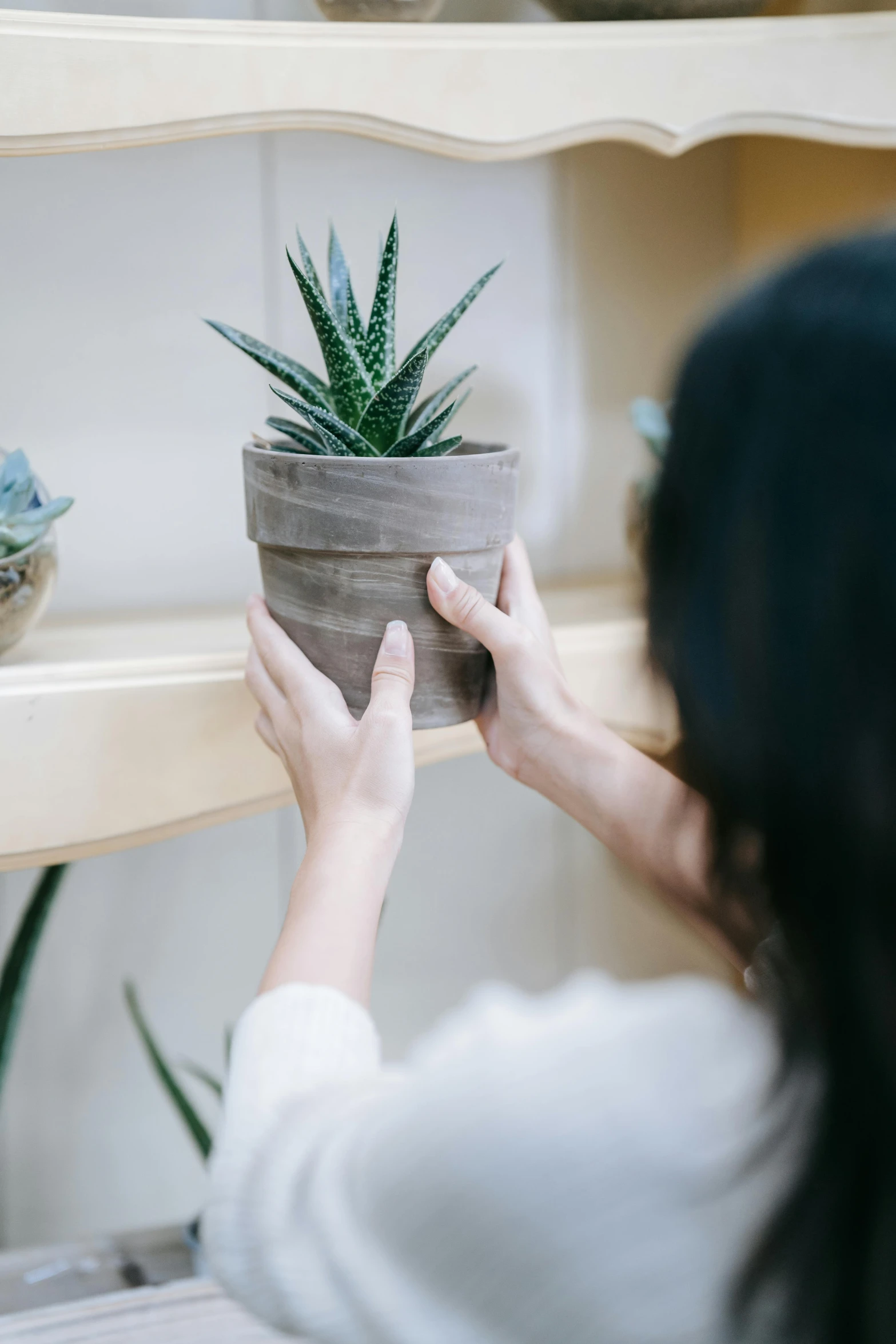 a woman placing a potted plant on a shelf, a picture, by Everett Warner, trending on unsplash, made of glazed, spiky, low detail, designer product