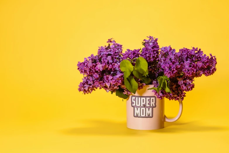 a vase filled with purple flowers on a yellow background, by Julia Pishtar, pexels, superhero, mother, background image, with a white mug