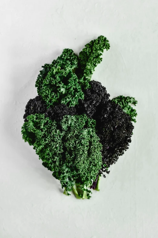 a bunch of broccoli sitting on top of a white surface, a digital rendering, by Doug Ohlson, unsplash, renaissance, anish kapoor black, yinyang shaped, lettuce, 5 dark tone colors
