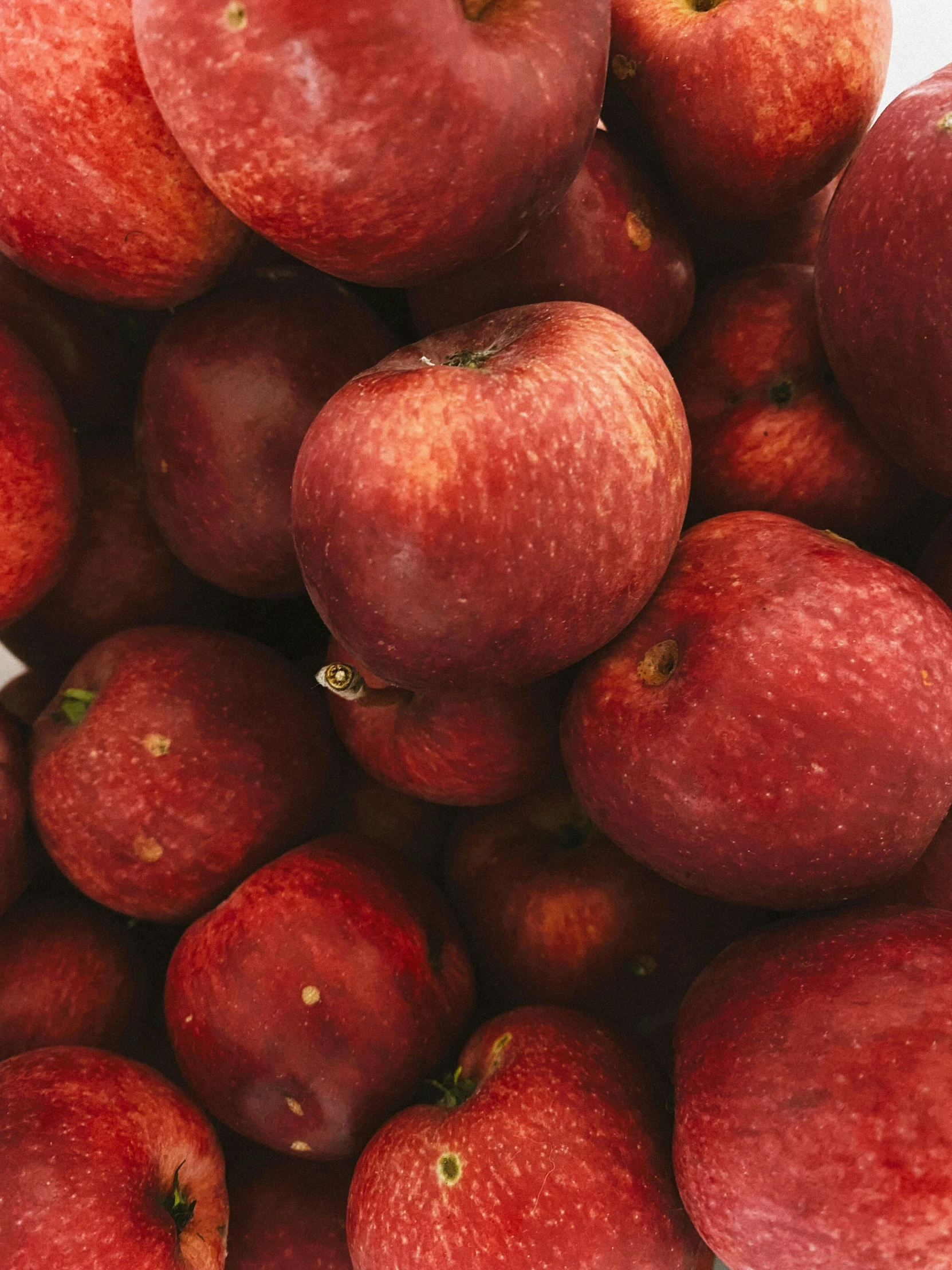 a pile of red apples sitting on top of each other, by Carey Morris, pexels, 2 5 6 x 2 5 6 pixels, rectangle, taken on iphone 14 pro, 4l