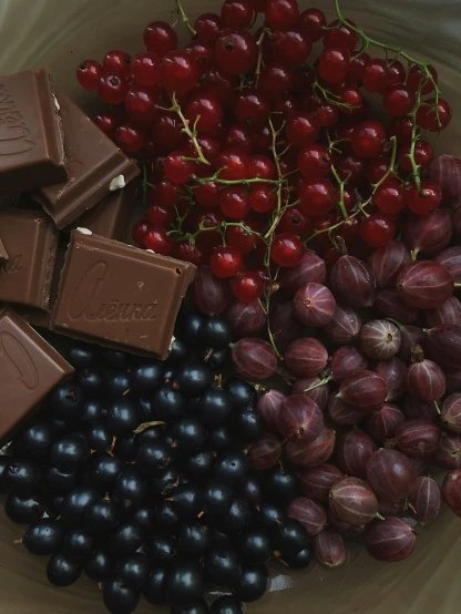 a close up of a plate of fruit and chocolate, product image, purple and red, ilustration, wild berry vines