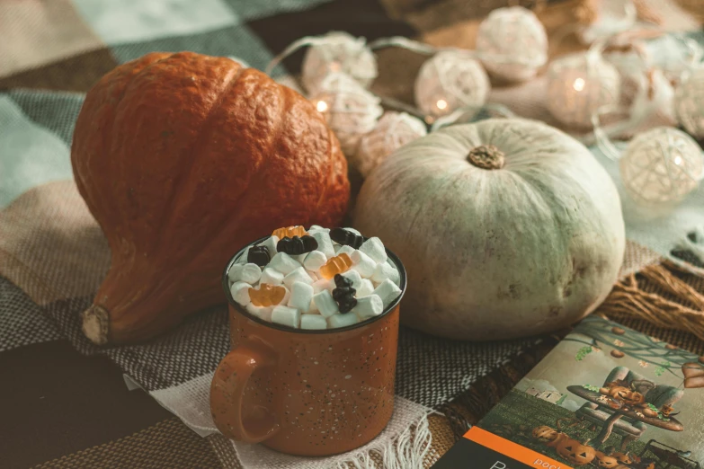 a cup of hot chocolate with marshmallows and pumpkins, a still life, by Emma Andijewska, pexels contest winner, renaissance, background image, mid body shot, group photo, 15081959 21121991 01012000 4k