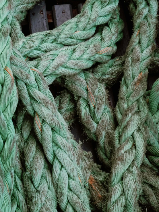 a pile of green rope sitting on top of a table, by Jessie Algie, unsplash, dredged seabed, detailed color scan, high quality product image”