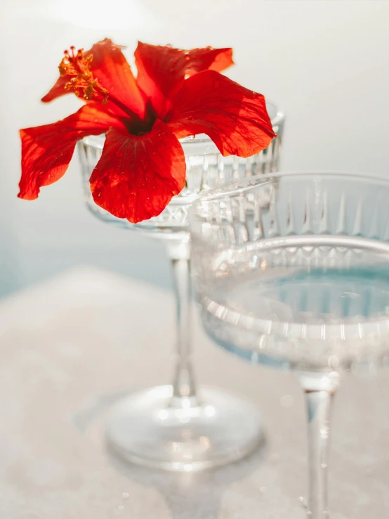 two wine glasses sitting next to each other on a table, by Nicolette Macnamara, trending on unsplash, romanticism, hibiscus flowers, crystal column, tropical style, stacked image