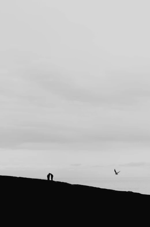 a black and white photo of two people flying a kite, by Lucia Peka, unsplash contest winner, minimalism, on a hill, seagulls, lovers, iceland