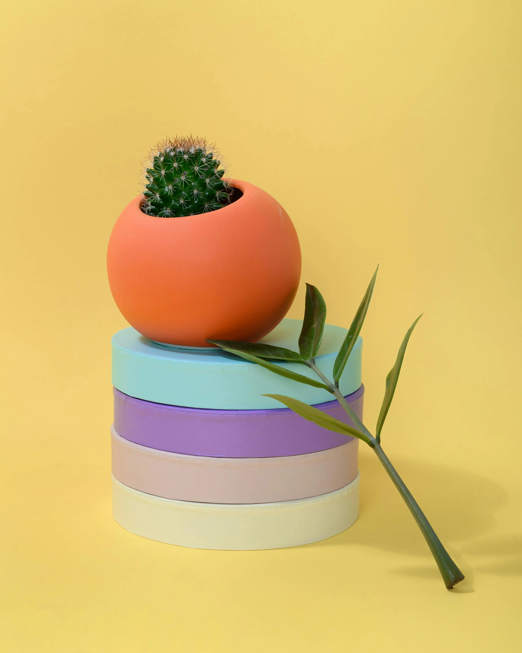 a cactus sitting on top of a stack of colorful vases, inspired by Okuda Gensō, orange pastel colors, dynamic angled shot, product image, round form