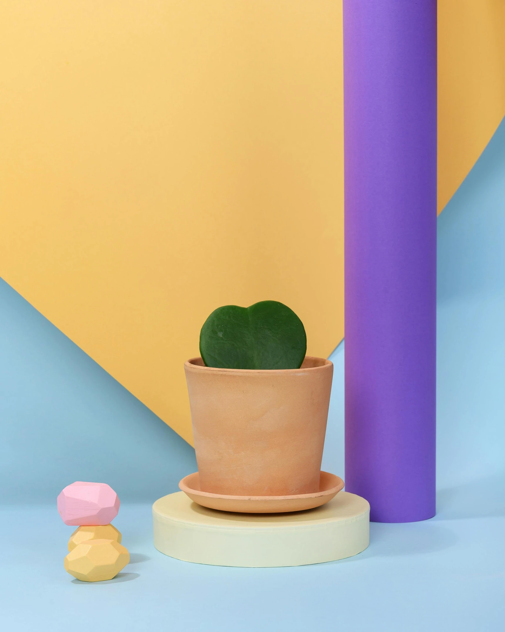 a potted plant sitting on top of a table next to a cupcake, inspired by Giorgio Morandi, postminimalism, modelling clay, cactus, colourful, product display photograph