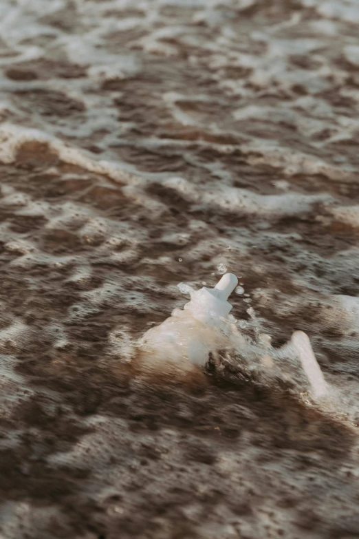 a white bird standing on top of a sandy beach, unsplash, video art, rushing water, bottle, brown mud, turbulent