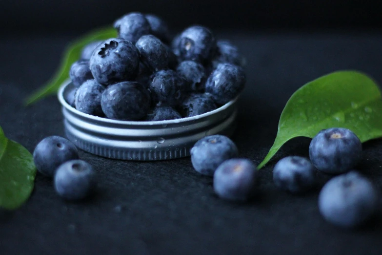 a bowl filled with blueberries sitting on top of a table, profile image, all dark blue metal, bowl filled with food, avatar image