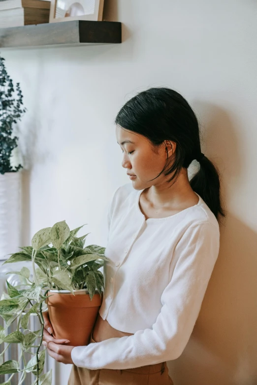 a woman standing next to a window holding a potted plant, inspired by Ruth Jên, trending on unsplash, minimalism, wearing a white button up shirt, asian features, head bowed slightly, herbs