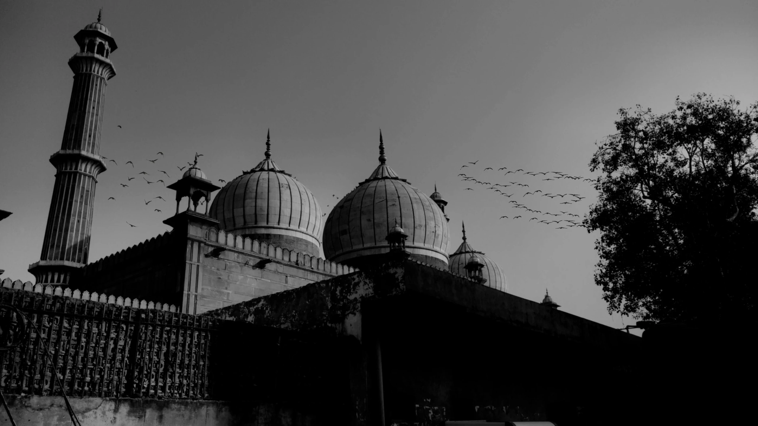 a black and white photo of a mosque, a black and white photo, by Riza Abbasi, pexels contest winner, domes, birds, indore, 2 5 6 x 2 5 6