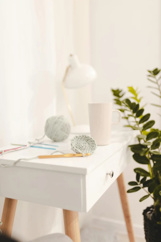 a white table with a potted plant on top of it, trending on pexels, yarn ball, detailed product image, objects well lit, pastel'