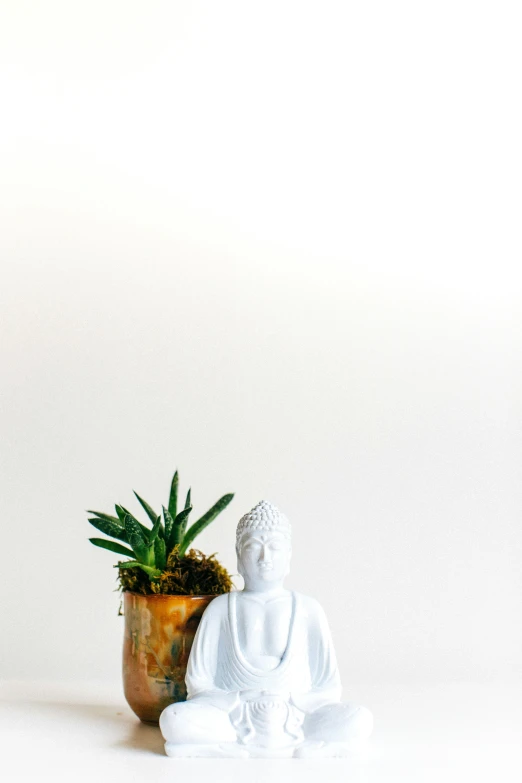 a white buddha statue sitting next to a potted plant, by Carey Morris, trending on unsplash, minimalism, white backdrop, taken in the late 2010s, high quality photo, health spa and meditation center