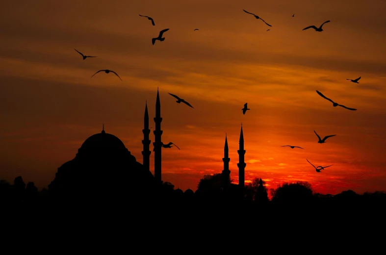 a flock of birds flying in front of a sunset, an album cover, inspired by Altoon Sultan, pexels contest winner, hurufiyya, mosque, 2 5 6 x 2 5 6, turkey, city views