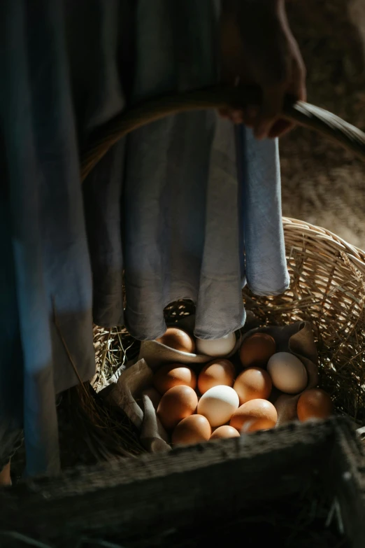 a person holding a basket full of eggs, by Jan Tengnagel, trending on unsplash, renaissance, dirty linen robes, inside a farm barn, australian, 15081959 21121991 01012000 4k