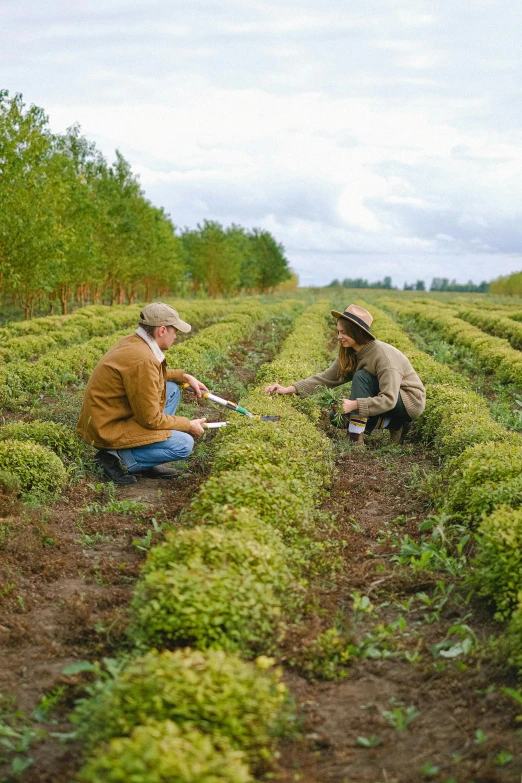 a couple of people kneeling down in a field, unsplash, land art, hydroponic farms, finland, shrubs, alaska