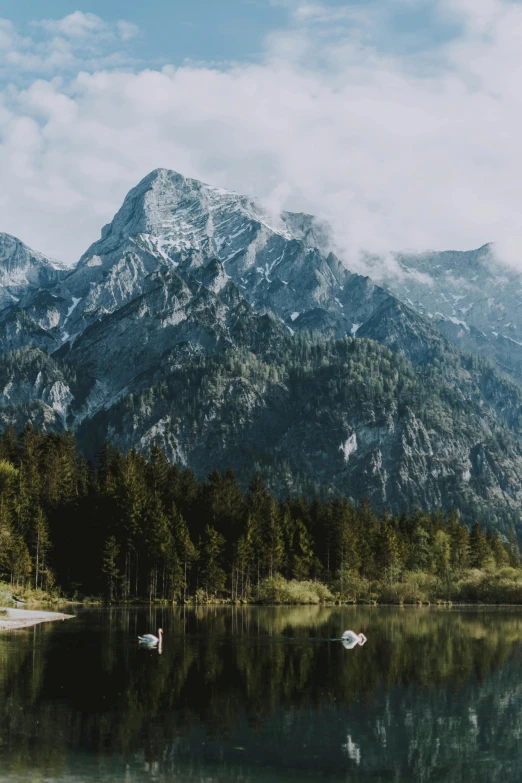 a body of water with mountains in the background, german forest, portrait featured on unsplash, multiple stories, peaks